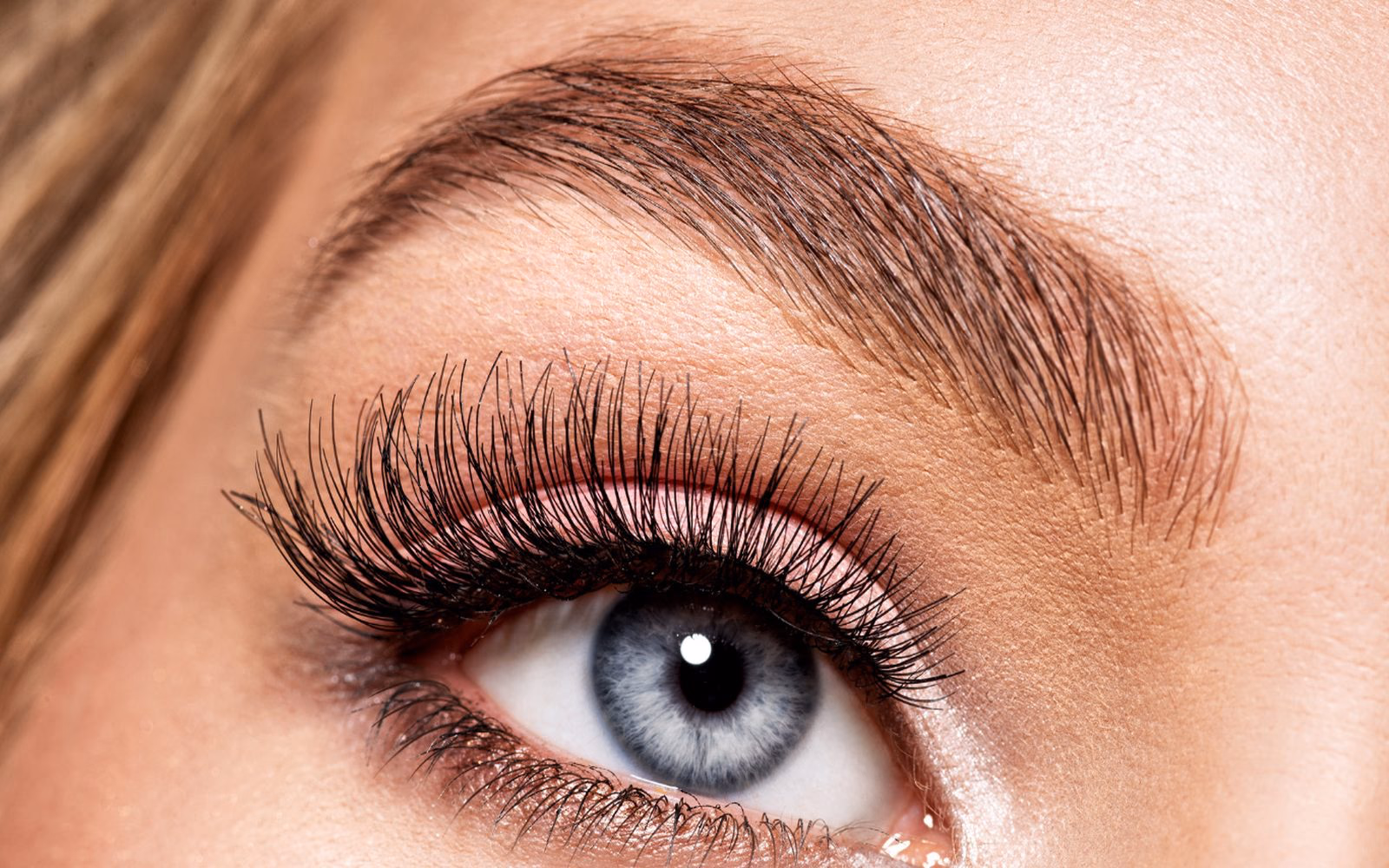 Cejas y Pestañas
